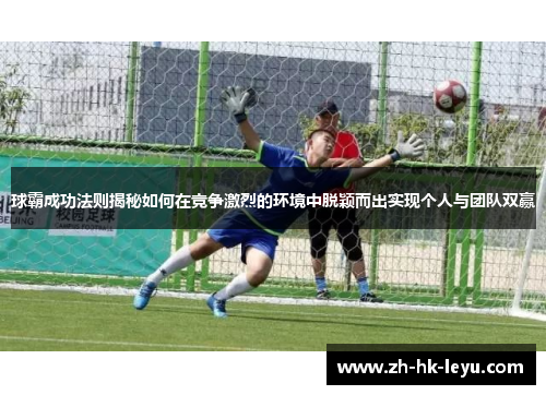 球霸成功法则揭秘如何在竞争激烈的环境中脱颖而出实现个人与团队双赢