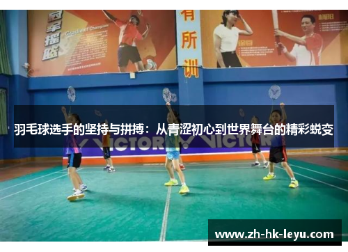 羽毛球选手的坚持与拼搏：从青涩初心到世界舞台的精彩蜕变