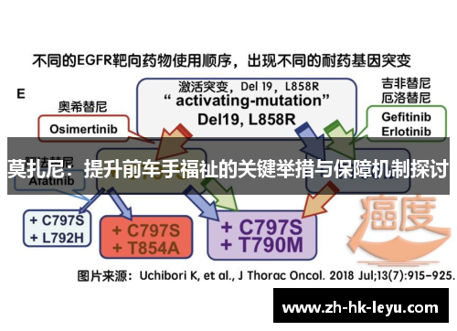 莫扎尼:提升前车手福祉的关键举措与保障机制探讨 莫扎尼:提升前车手福祉的关键举措与保障机制探讨