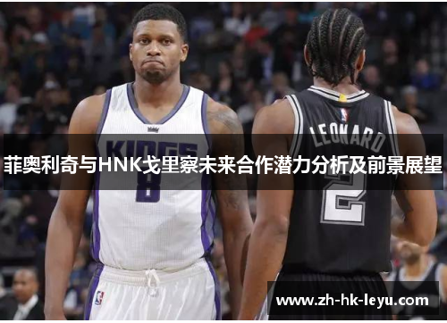 菲奥利奇与HNK戈里察未来合作潜力分析及前景展望 菲奥利奇与HNK戈里察未来合作潜力分析及前景展望