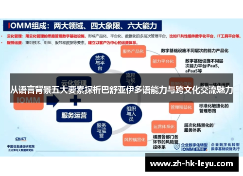 从语言背景五大要素探析巴舒亚伊多语能力与跨文化交流魅力 从语言背景五大要素探析巴舒亚伊多语能力与跨文化交流魅力
