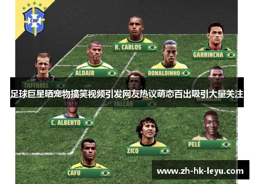 足球巨星晒宠物搞笑视频引发网友热议萌态百出吸引大量关注 足球巨星晒宠物搞笑视频引发网友热议萌态百出吸引大量关注